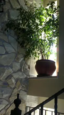 Un balcón o terraza de Vía Caparra Superior