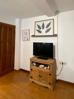 Una televisión o centro de entretenimiento en Apartamento Fray Eloy de 1 habitacion