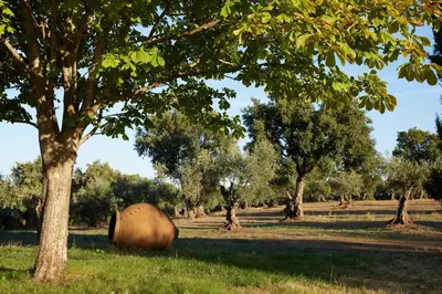 Plano de Finca El Azahar