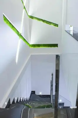 Plano de Suite Alma