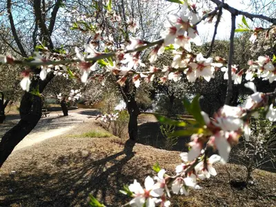 Jardín al aire libre en Villa Cornelius Lujo Rural 5 Estrellas Verdes
