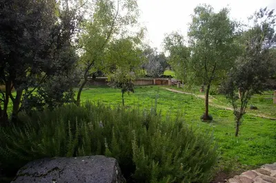 Jardín al aire libre en Cabañas del Cortino
