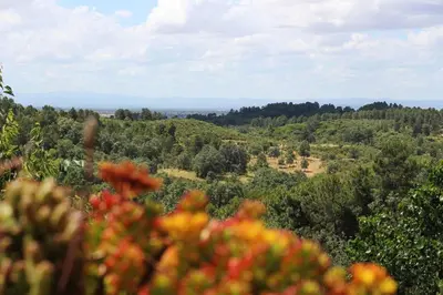 Paisaje cerca de esta casa o chalet