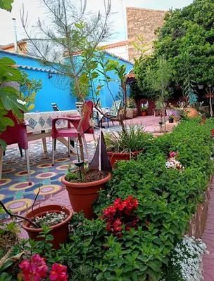 Jardín al aire libre en 25 de Abril