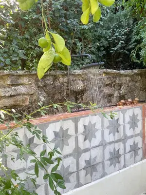 Jardín al aire libre en TERRACEA