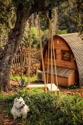 Mascotas con sus dueños en CORK VALLEY - Pet Friendly & Only Adults