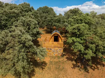Paisaje cerca of this country house