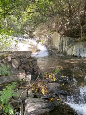 Paisaje cerca de este apartamento