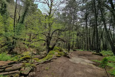 Paisaje cerca de este hotel