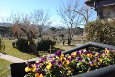 Jardín al aire libre en Una casita en el campo dentro de la ciudad