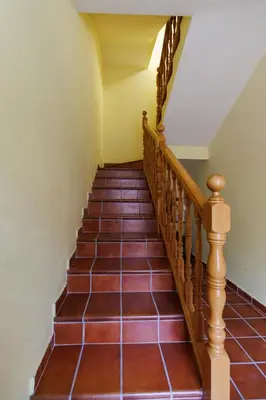 Plano de Vut jaci y cipri