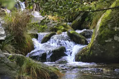 Paisaje cerca de este apartamento