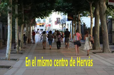 Clientes alojados en Hervas Centro Apartamento IDEAL FAMILIAS 6 adultos y 2 niños-