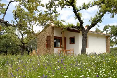 Jardín al aire libre en Finca Las Abubillas