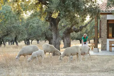 Animales en el lodge o alrededores
