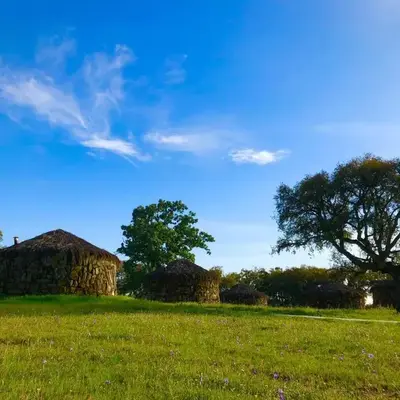 Chozos Las Flores de la Dehesa