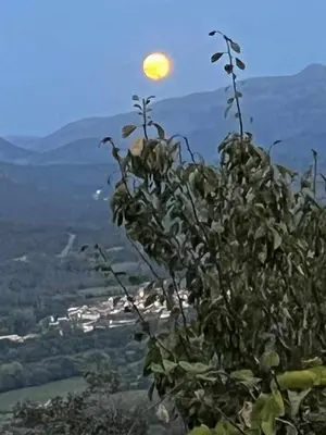 Paisaje cerca de este apartamento
