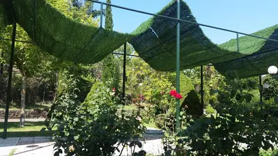 Jardín al aire libre en Apartamentos Baños de Ledesma