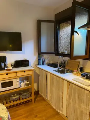Una cocina o zona de cocina en Apartamento rural Prunus avium