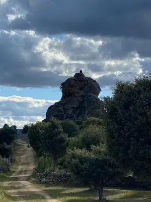 Paisaje cerca de este apartamento