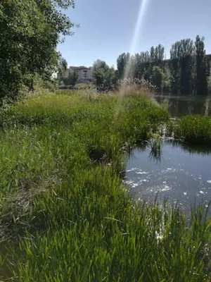 Paisaje cerca de este apartamento