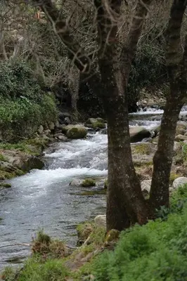 Paisaje cerca de esta casa o chalet