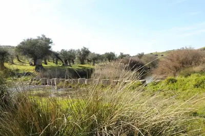 Paisaje cerca de esta casa o chalet