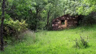 Paisaje cerca of this country house
