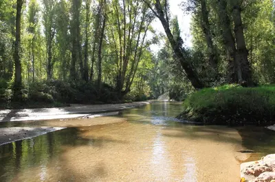 Paisaje cerca of this country house