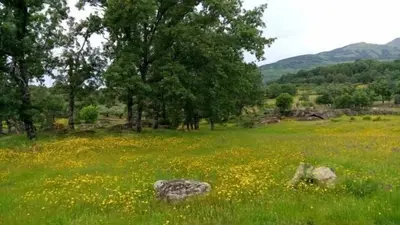 Paisaje cerca de esta casa o chalet