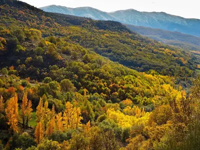 Paisaje cerca de este apartamento