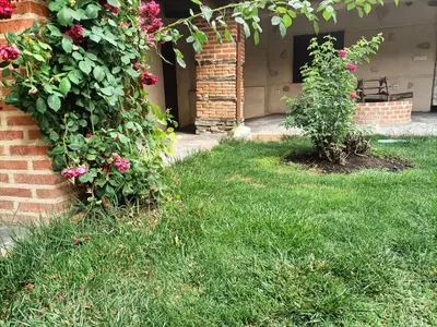Jardín al aire libre en Casa Rural Mudayyan