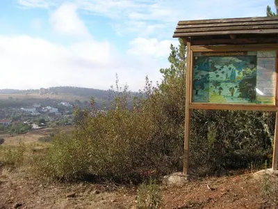 Paisaje cerca of this country house