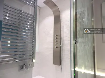 Un baño de Apto Junquera