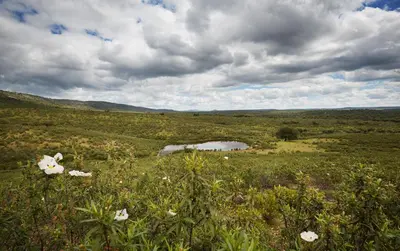 Paisaje cerca de este hotel