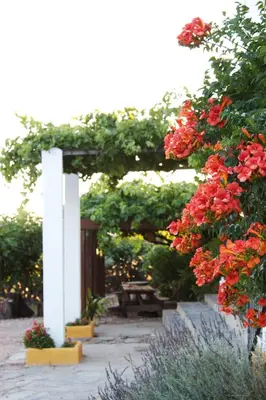 Jardín al aire libre en Palacio Viejo de Las Corchuelas