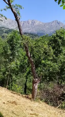 Paisaje cerca of this country house