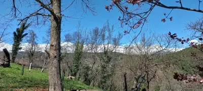 Paisaje cerca of this country house