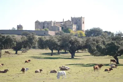 Animales en la casa o chalet o alrededores