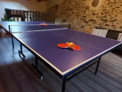Instalaciones para jugar al ping pong en Casa Rural La Moraquintana o alrededores