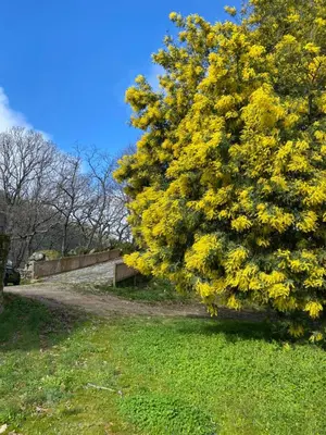 Paisaje cerca de este chalet de montaña