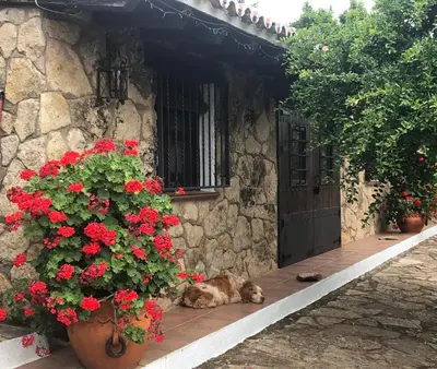 Jardín al aire libre en FINCA VERGEL Alojamiento con encanto habitaciones con baño