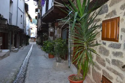 El barrio de los alrededores o un barrio cerca de esta casa o chalet