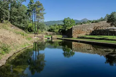 Paisaje cerca de este apartamento