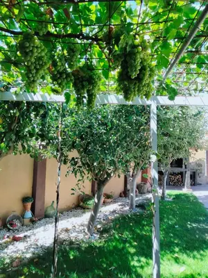 Jardín al aire libre en El Rincón de Arabayona
