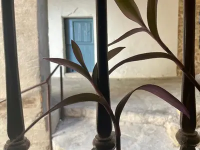 Plano de Casa Artista