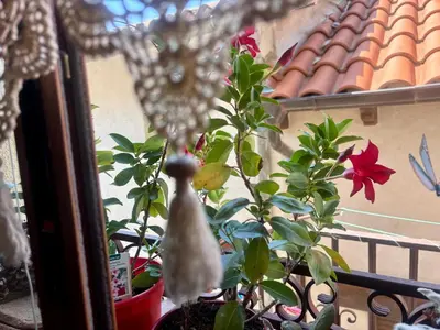Un balcón o terraza de Casa Artista