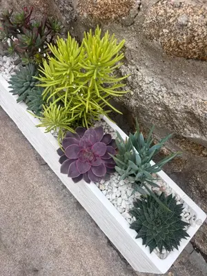 Jardín al aire libre en Casa Artista