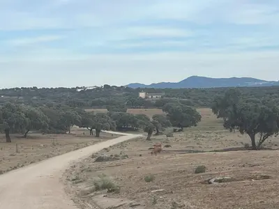 Paisaje cerca de esta casa o chalet