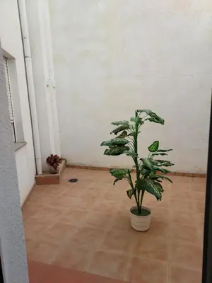 Plano de RUA ZAPATERIA 10 PLASENCIA